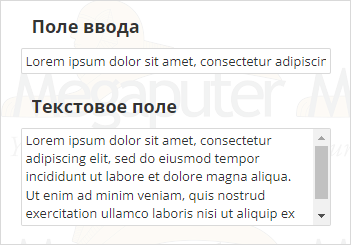 general appearance field widget input and textbox fields publication.rus